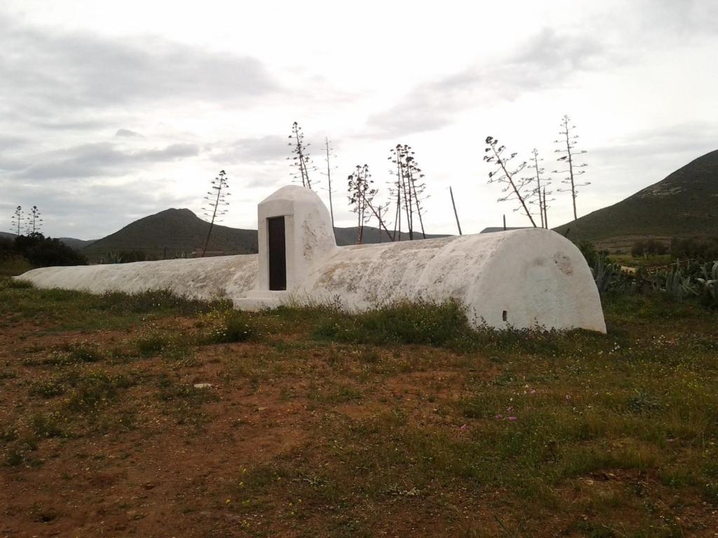 Olivares Rural Los Albaricoques Esterno foto