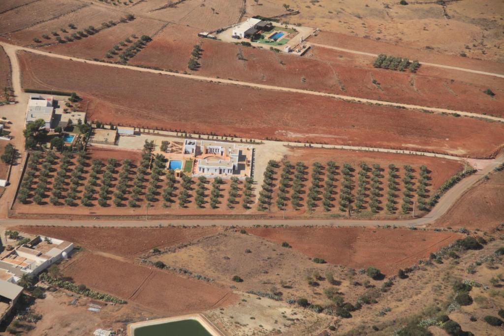 Olivares Rural Los Albaricoques Esterno foto